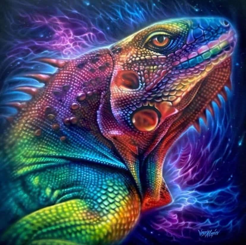 Iguana Canvas
